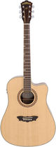 Washburn WD32SCE